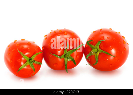 Pomodori umido su sfondo bianco Foto Stock