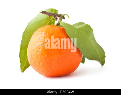 Mandarino con foglie Foto Stock