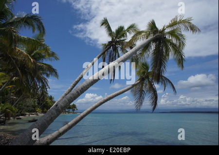 Perfect Natural carrbbean beach in Costa Rica Foto Stock