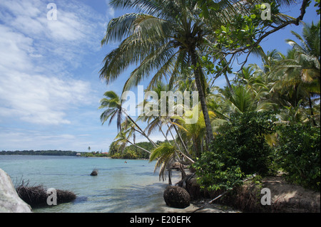 Perfect Natural carrbbean beach in Costa Rica Foto Stock