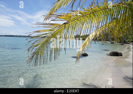 Perfect Natural carrbbean beach in Costa Rica Foto Stock