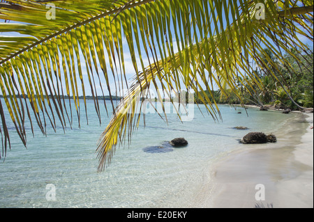 Perfect Natural carrbbean beach in Costa Rica Foto Stock