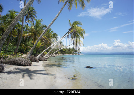 Perfect Natural carrbbean beach in Costa Rica Foto Stock