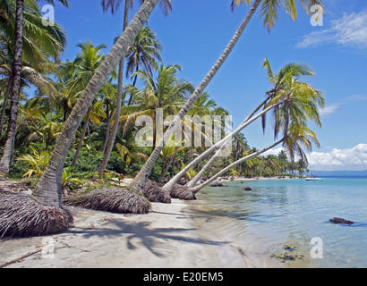 Perfect Natural carrbbean beach in Costa Rica Foto Stock