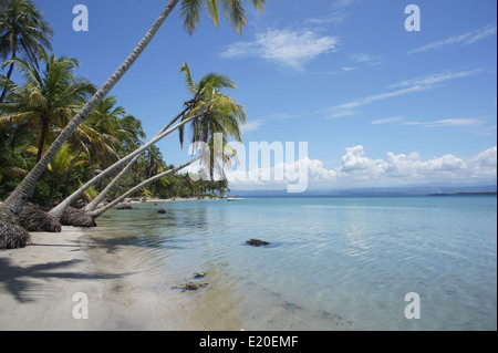 Perfect Natural carrbbean beach in Costa Rica Foto Stock