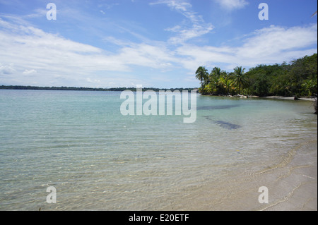 Perfect Natural carrbbean beach in Costa Rica Foto Stock