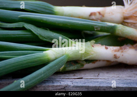 Coltivati localmente le cipolle che sono state tirate fino al momento li ho comprati--parlare di fresca! Foto Stock