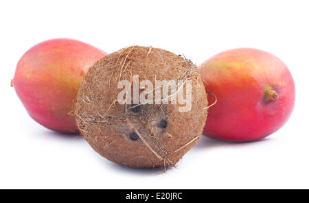 Le noci di cocco e due di mango su sfondo bianco Foto Stock
