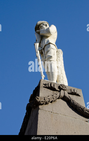 Nuova Zelanda, Isola del nord, Napier. Nel centro storico della città conosciuta come la Art Deco Capitale del mondo. Signore Plunket, statua. Foto Stock