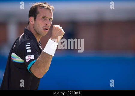 Londra, Regno Unito. 12 Giugno, 2014. Radek STEPANEK: risultati nei della Repubblica ceca celebra dopo aver vinto un punto contro Andy Murray del Regno Unito durante gli uomini corrispondono a Aegon i campionati di tennis torneo tenutasi presso il Queens Club. Credit: Azione Plus immagini di sport/Alamy Live News Foto Stock