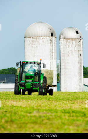 Agricoltore il caricamento delle bobine del Round balle di fieno sul pianale di un rimorchio con il trattore, con fattorie silos in background Foto Stock