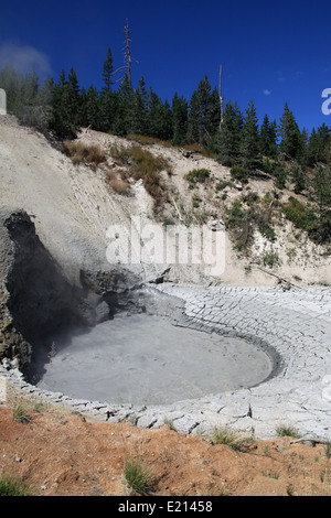 Aumento di vapore dalla bocca del drago la molla a Yellowstone Foto Stock