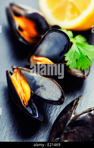 Gruppo di cozze bollite in gusci Foto Stock