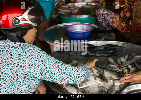 Il Delta del Mekong è un acquoso paesaggio di campi verdi e villaggi assonnato, i suoi abitanti cordiale e accogliente per i turisti. Foto Stock