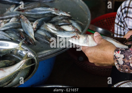 Il Delta del Mekong è un acquoso paesaggio di campi verdi e villaggi assonnato, i suoi abitanti cordiale e accogliente per i turisti. Foto Stock