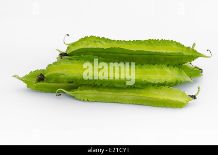 Giovani alato di fagioli o Psophocarpus tetragonolobus Linn. su sfondo bianco Foto Stock