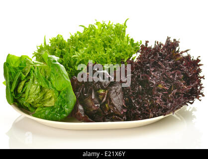 Fresche foglie di insalata assortimento su una piastra Foto Stock