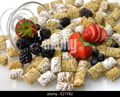 Shredded cereali frumento Foto Stock