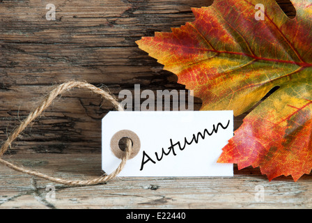 Autunno scritto su una etichetta con il colorato foglia caduta in background Foto Stock