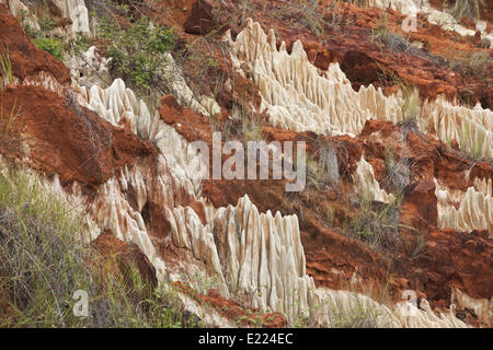 Tsingy di Ankarana, Madagascar, Africa Foto Stock