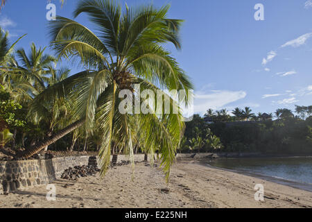 Palm Beach di Nosy Be, Madagascar, Africa Foto Stock