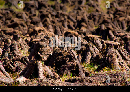 Tagliare la torba turf essiccamento in campo irlandese per il carburante Slieve League County Donegal Irlanda Foto Stock