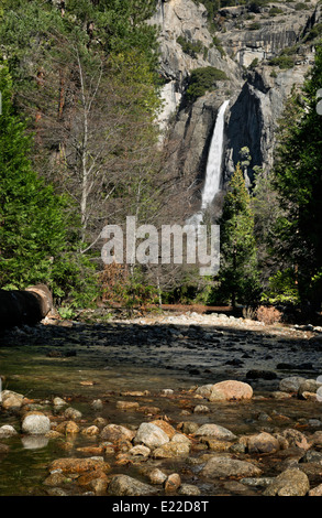 CALIFORNIA - Abbassare Yosemite Falls e il Parco Nazionale di Yosemite Creek nel Parco Nazionale di Yosemite. Foto Stock