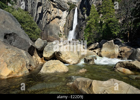 CALIFORNIA - Abbassare Yosemite Falls e il Parco Nazionale di Yosemite Creek nel Parco Nazionale di Yosemite. Foto Stock
