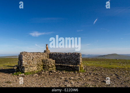 Cane seduto sul sedile del vertice di Ingleborough con nessun altro vi Foto Stock