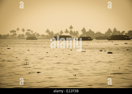 Bellissimo paesaggio con case galleggianti in Kerala backwaters in stile vintage, India Foto Stock