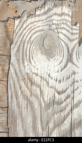 Vecchia scheda di legno isolato su sfondo bianco Foto Stock