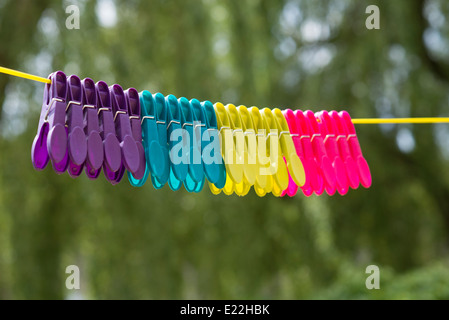 Multi colore pioli di plastica appeso su una linea di lavaggio Foto Stock