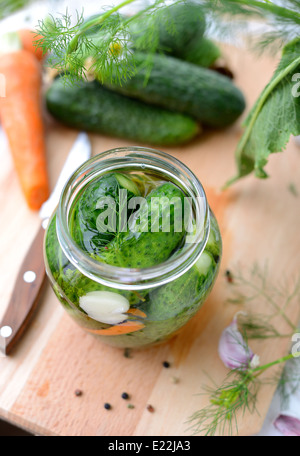 Cetrioli freschi nel vaso del frullatore, appena riempito con soluzione salina. Foto Stock