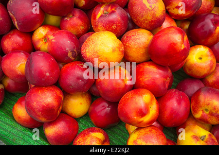 Telaio completo di prendere il fresco delle nettarine su una strada di stallo del mercato Foto Stock