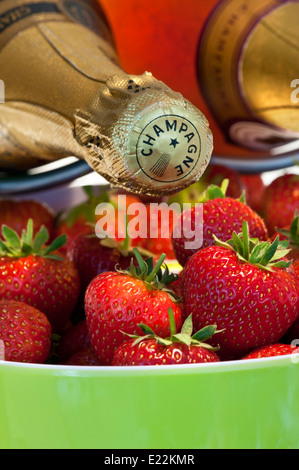 Bottiglie di champagne in refrigeratore con ciotola di fragole fresche per eventi estivi all'aperto di lusso Foto Stock