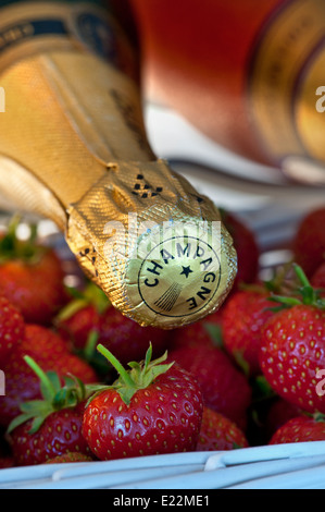 Bottiglie di champagne in refrigeratore di vino con bacchette bianche in vimini di fragole fresche per eventi all'aperto di lusso Foto Stock