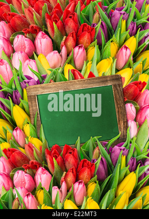 Freschi di fiori di primavera con gocce d'acqua. tulipani e lavagna con spazio per il testo Foto Stock