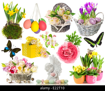 Set di fiori in primavera, le uova di pasqua, butterfly. decorazioni di pasqua isolato su sfondo bianco Foto Stock
