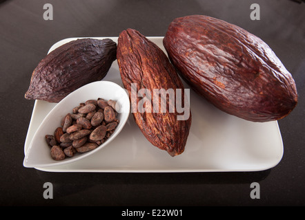 Le fave di cacao in una ciotola accanto al cacao Cialde da cui provengono. Foto Stock