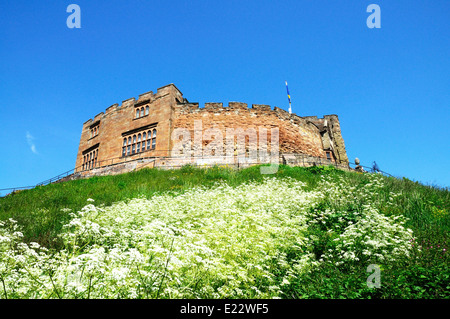 Vista del castello normanno, il Tamworth, Staffordshire, Regno Unito, Europa occidentale. Foto Stock