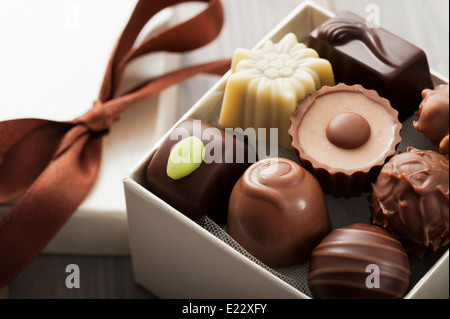 Cioccolatini assortiti pasticceria nella loro confezione regalo, close up Foto Stock