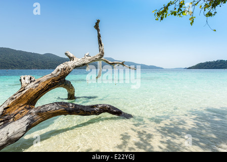 Splendide spiagge tropicali di Tarutao National Marine Park, Satun, nel sud della Thailandia Foto Stock