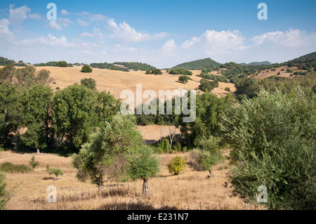 Viste della campagna andalusa da El Bosque town, Cadiz, Spagna Foto Stock