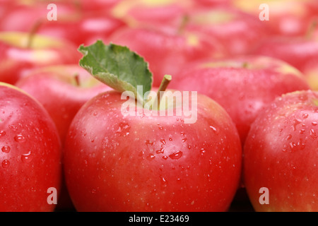 Primo piano di mele rosse con gocce d'acqua Foto Stock