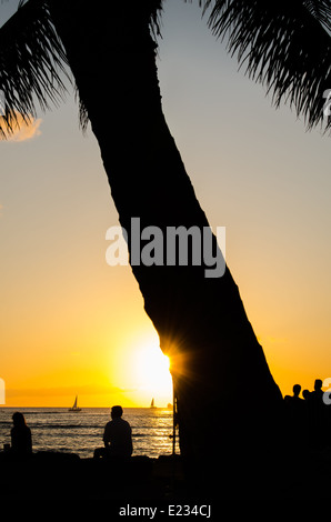 Silhoutte di una Palma e la gente a guardare il tramonto sulla spiaggia di Waikiki Beach sull'isola di Oahu nelle Hawaii. Foto Stock