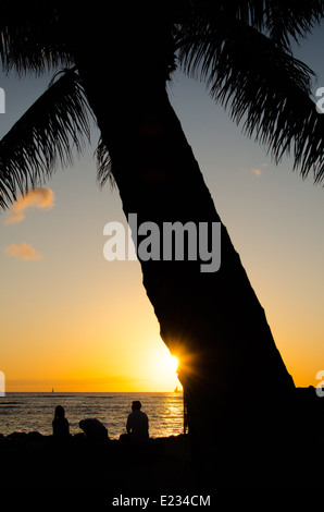 Silhoutte di una Palma e la gente a guardare il tramonto sulla spiaggia di Waikiki Beach sull'isola di Oahu nelle Hawaii. Foto Stock