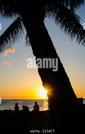 Silhoutte di una Palma e la gente a guardare il tramonto sulla spiaggia di Waikiki Beach sull'isola di Oahu nelle Hawaii. Foto Stock