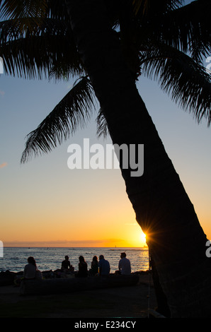 Silhoutte di una Palma e la gente a guardare il tramonto sulla spiaggia di Waikiki Beach sull'isola di Oahu nelle Hawaii. Foto Stock