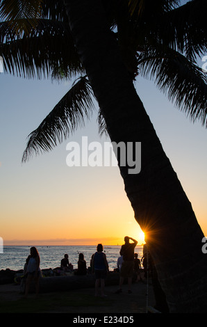 Silhoutte di una Palma e la gente a guardare il tramonto sulla spiaggia di Waikiki Beach sull'isola di Oahu nelle Hawaii. Foto Stock