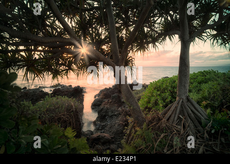 Costa rocciosa con piccolo ingresso. Maui, Hawaii Foto Stock